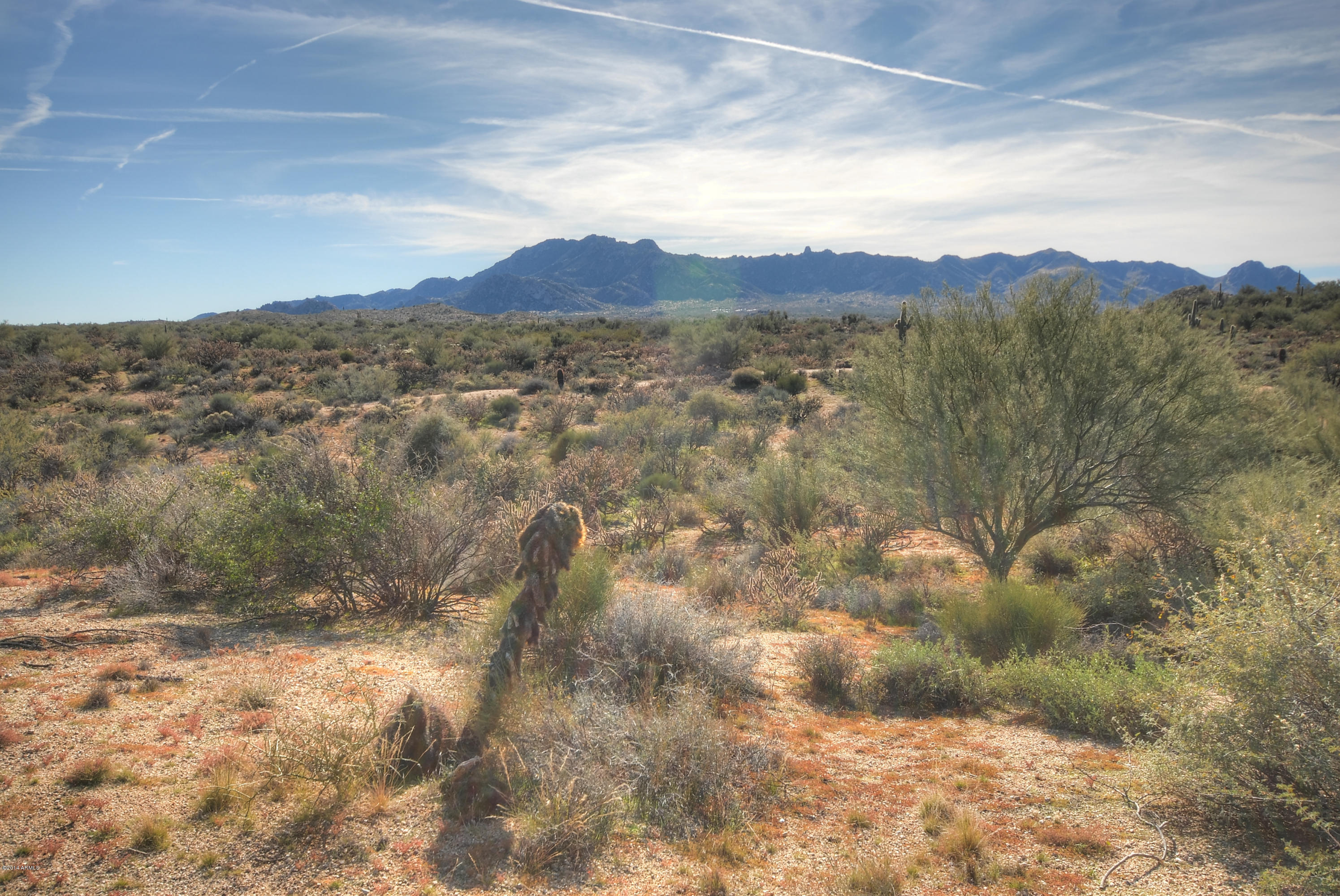 13502 East Jomax Road Scottsdale, AZ 85262 - Photo 45 of 50 McDOWELL MOUNTAINS