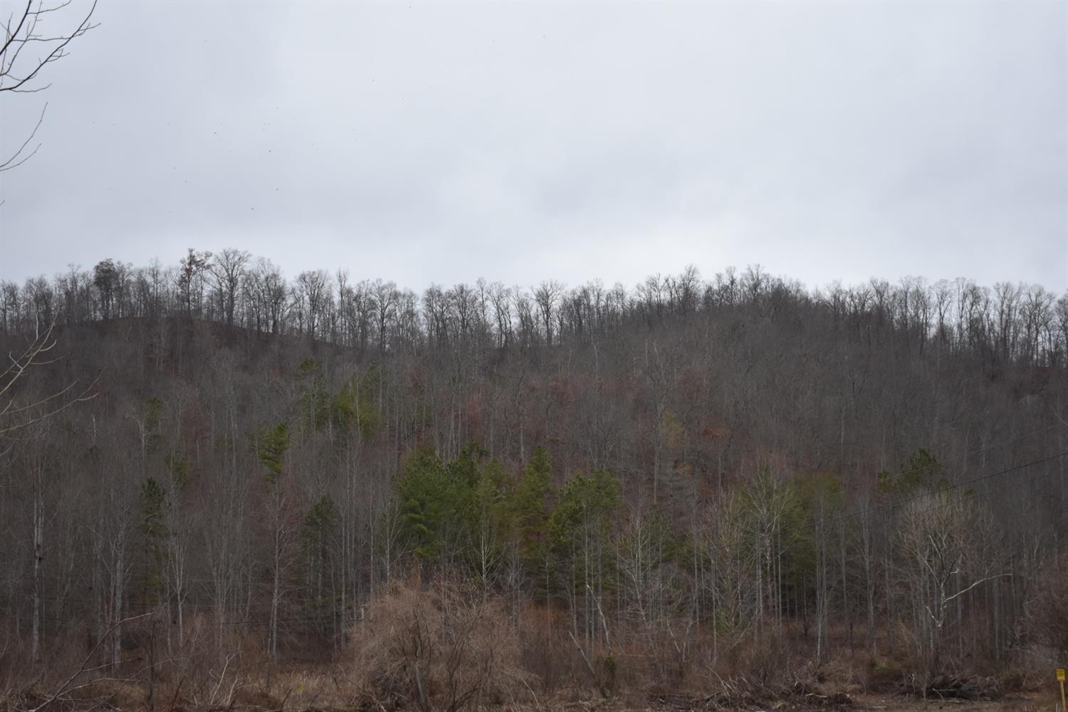 9999 East Crawfish Road Manchester, KY 40962 - Photo 29 of 52 Photo 29