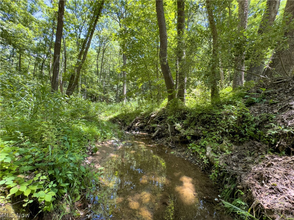 0 Long Hollow Road Pomeroy, OH 45769 - Photo 2 of 31