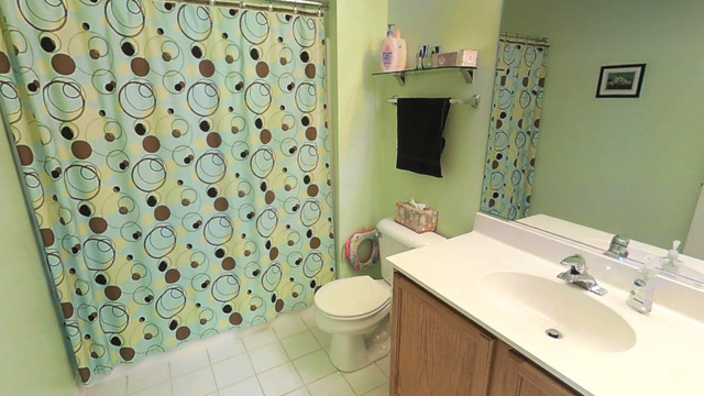 3129 Raphael Court St. Charles, IL 60175 - Photo 15 of 17 a bathroom with a sink and a mirror