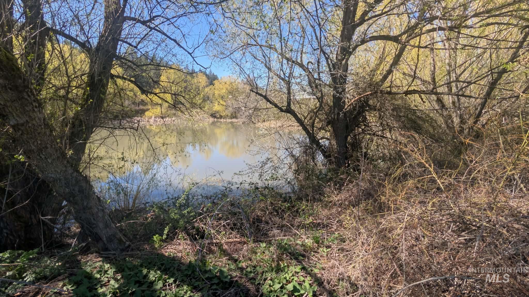 Tbd Eberhardt Road Lenore, ID 83541 - Photo 12 of 16