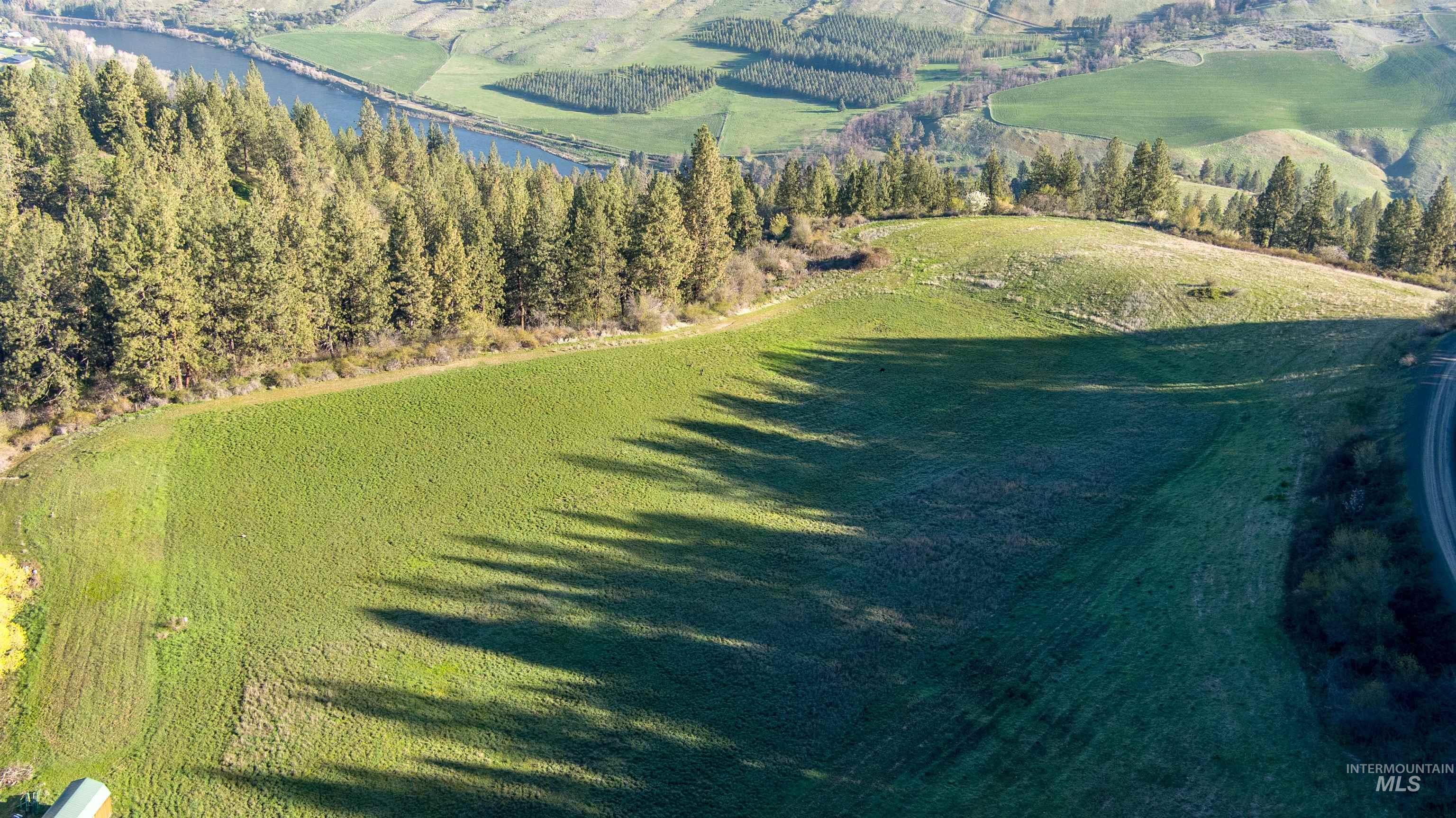 Tbd Eberhardt Road Lenore, ID 83541 - Photo 3 of 16