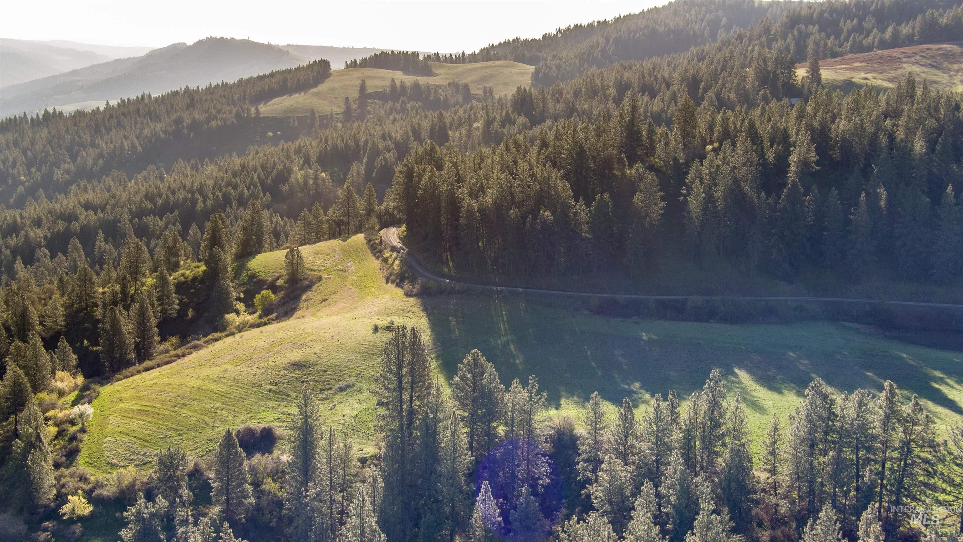 Tbd Eberhardt Road Lenore, ID 83541 - Photo 5 of 16