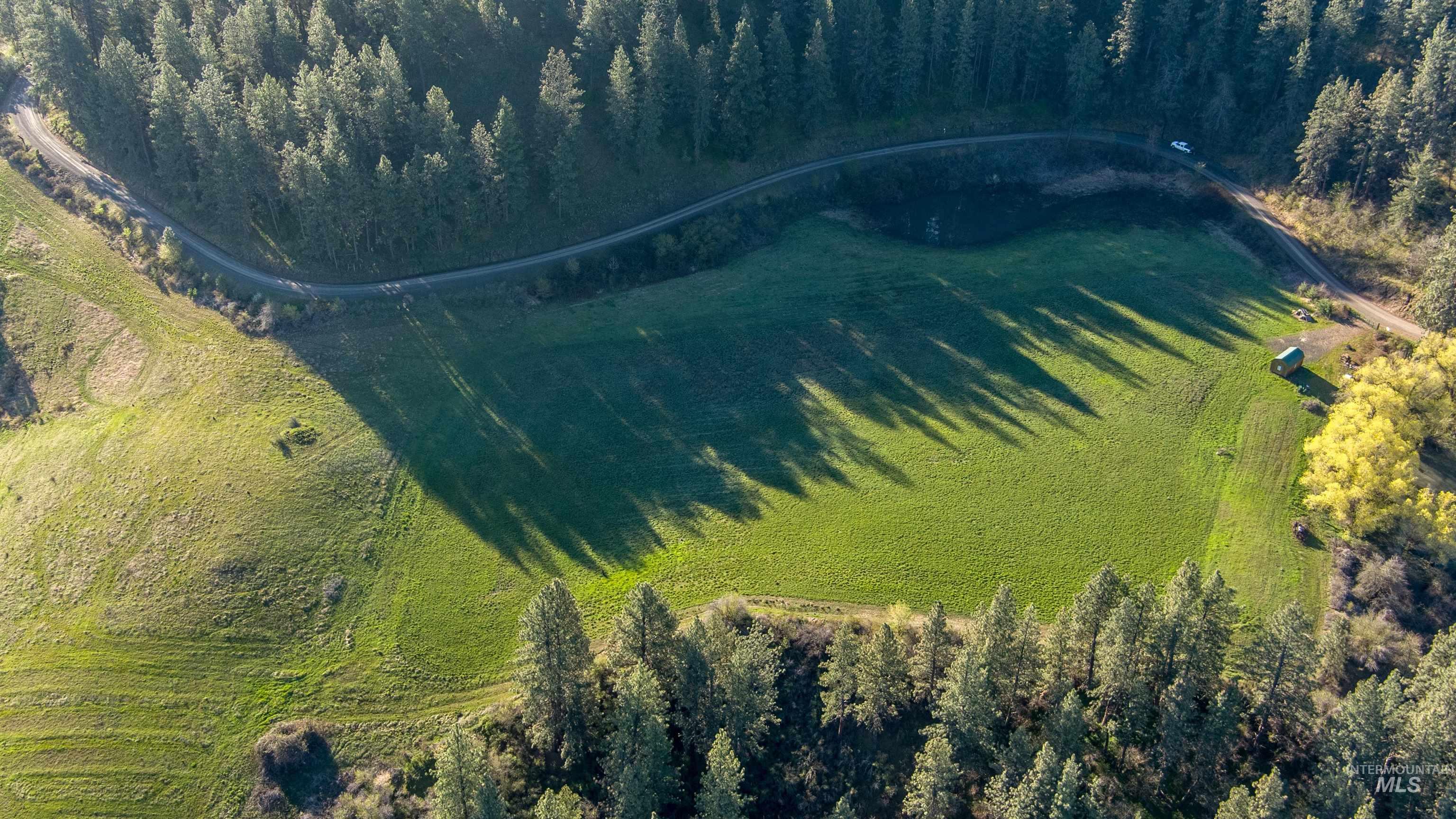 Tbd Eberhardt Road Lenore, ID 83541 - Photo 6 of 16