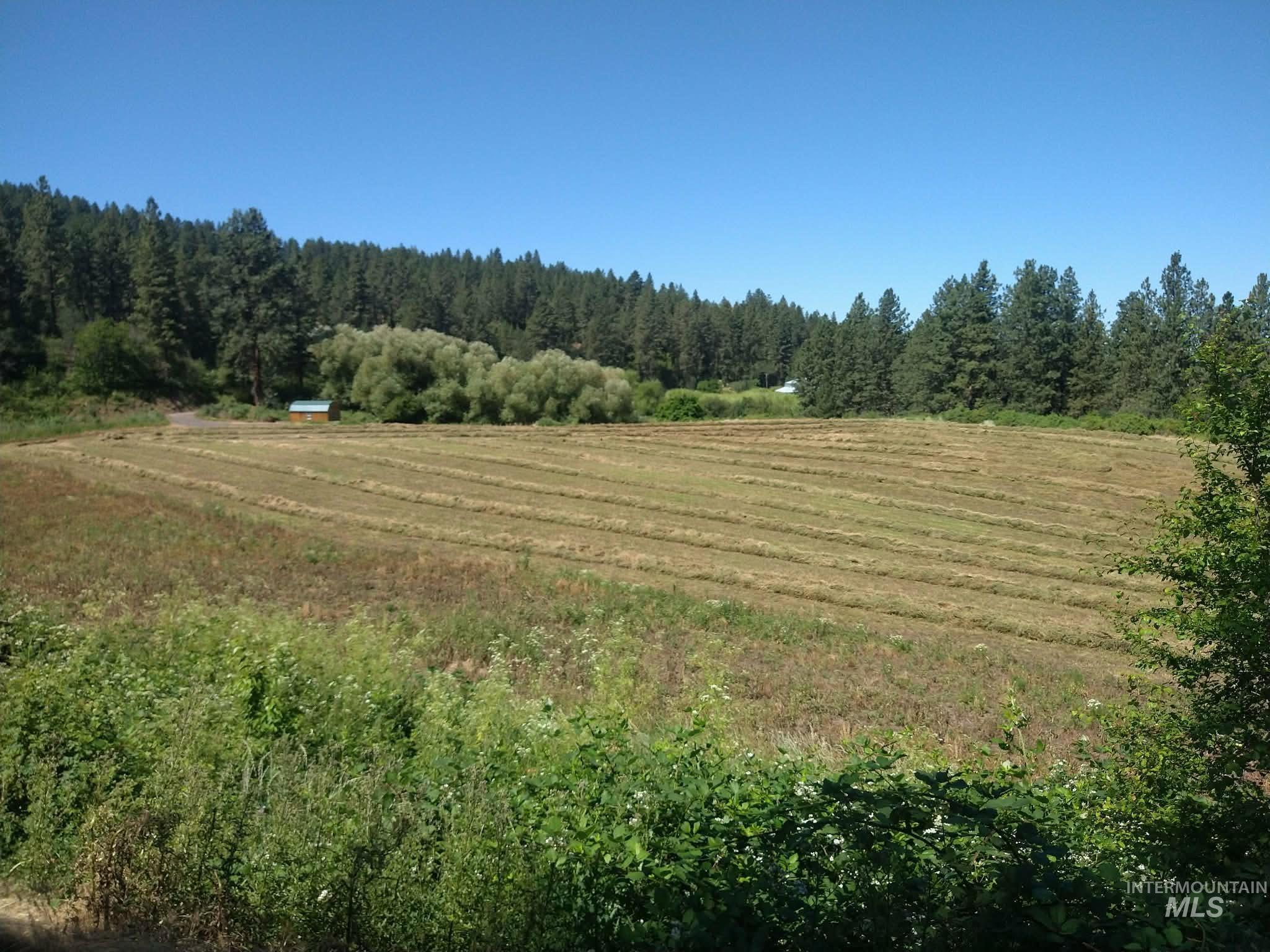 Tbd Eberhardt Road Lenore, ID 83541 - Photo 8 of 16