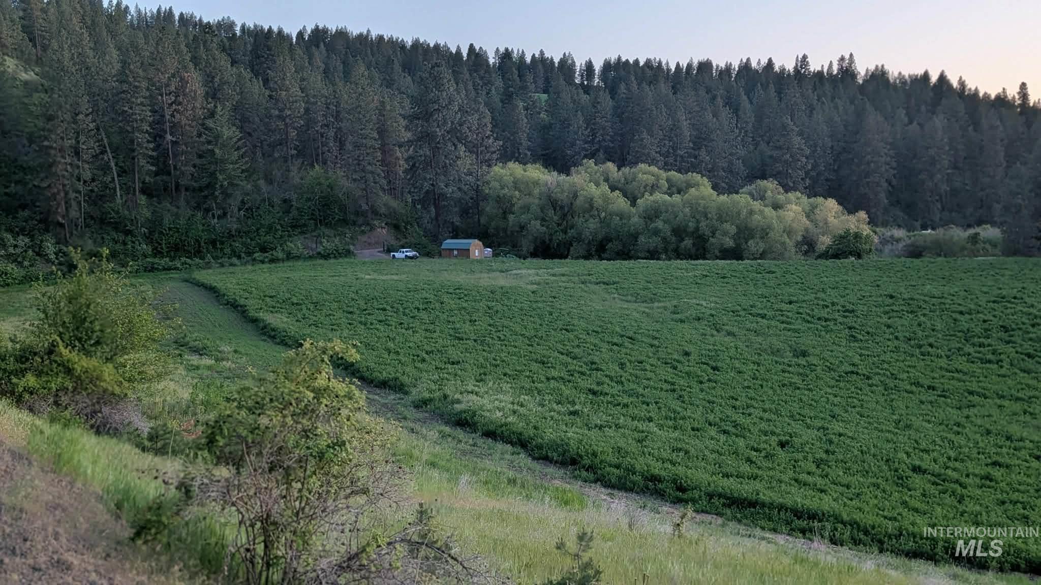 Tbd Eberhardt Road Lenore, ID 83541 - Photo 9 of 16