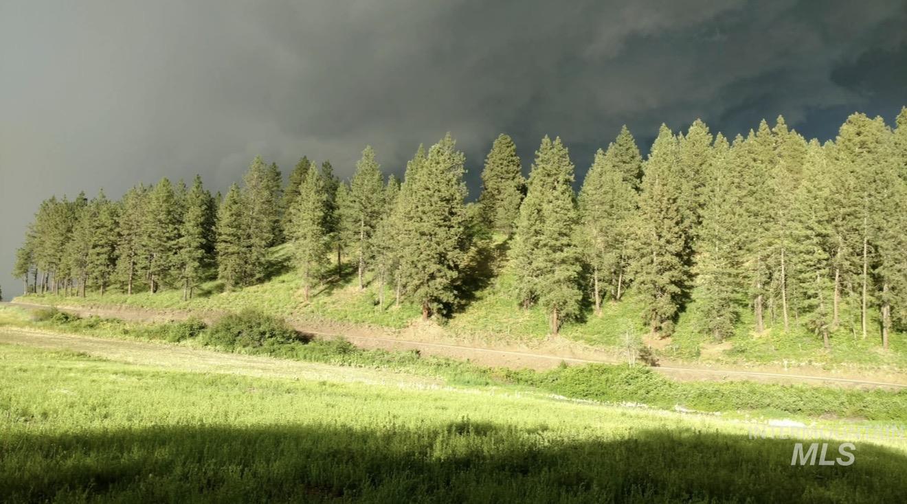 Tbd Eberhardt Road Lenore, ID 83541 - Photo 10 of 16