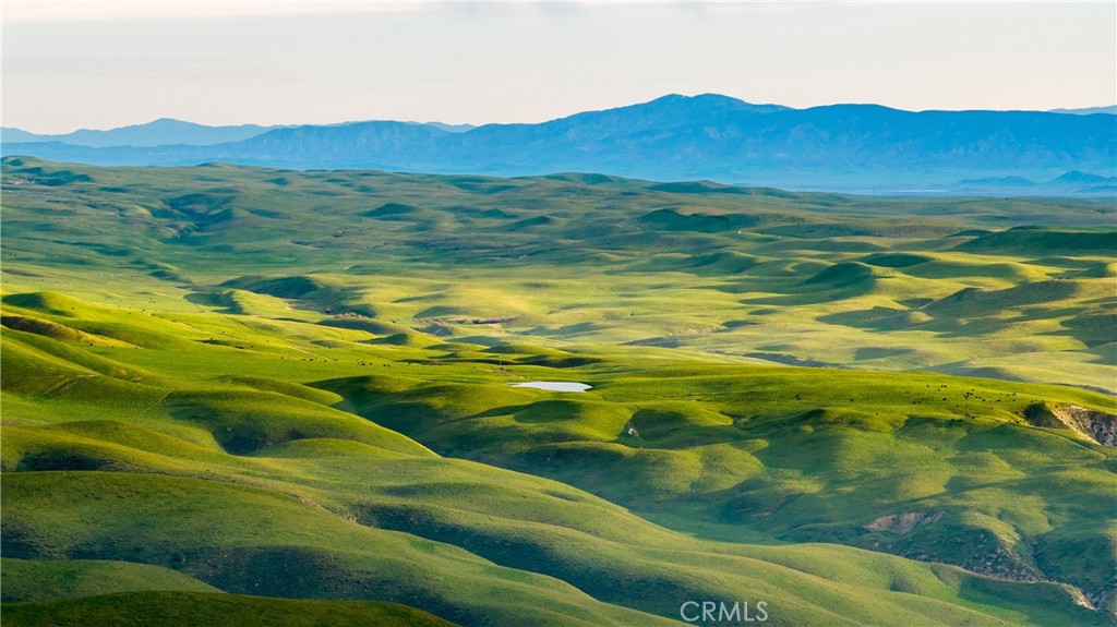 8050 Bitterwater Road Shandon, CA 93461 - Photo 1 of 44