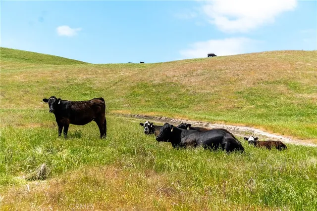 $8,311,875 | 8050 Bitterwater Road, Shandon, CA 93461