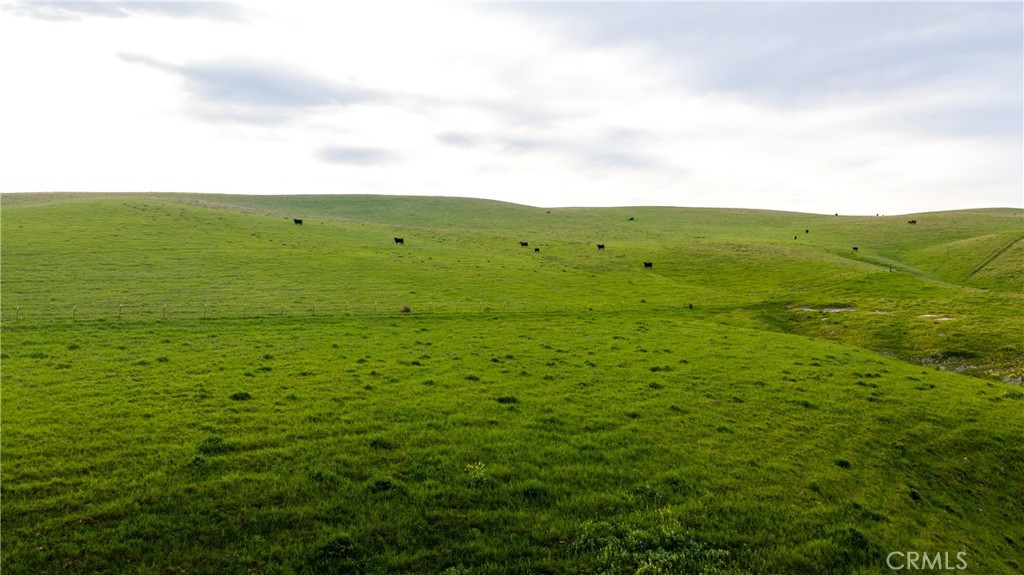 8050 Bitterwater Road Shandon, CA 93461 - Photo 20 of 44