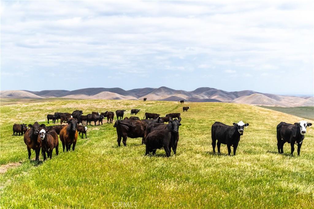 8050 Bitterwater Road Shandon, CA 93461 - Photo 20 of 38