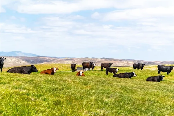 an aerial view of a house with beach and ocean view