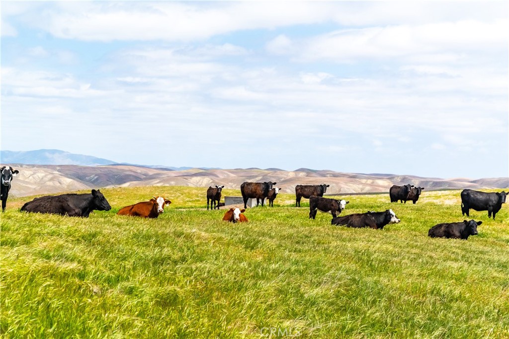 8050 Bitterwater Road Shandon, CA 93461 - Photo 2 of 44