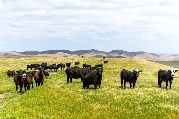 a view of a lake with houses in the back