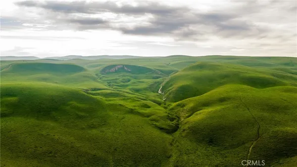 a view of a field with an ocean