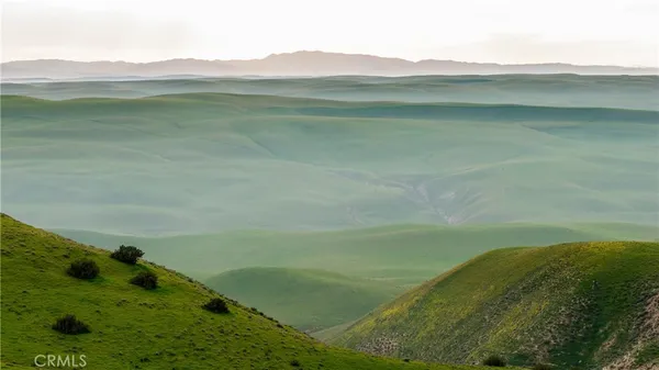 a view of a lake from a yard