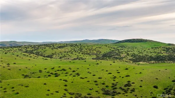 a view of a green field