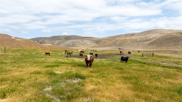$8,311,875 | 8050 Bitterwater Road, Shandon, CA 93461