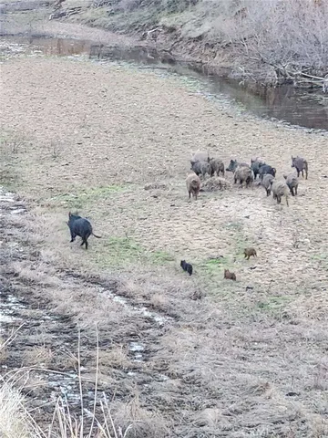 $8,311,875 | 8050 Bitterwater Road, Shandon, CA 93461