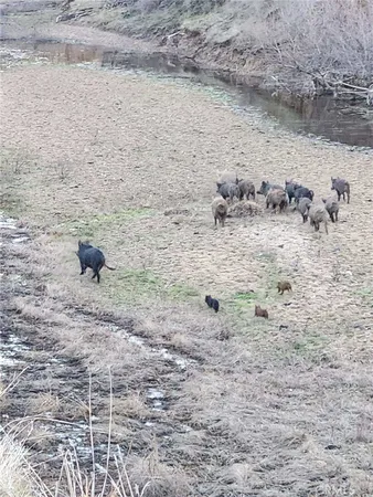 a view of water with an outdoor space