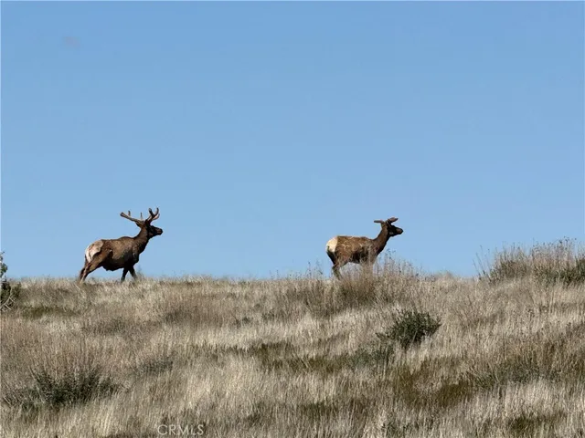 $8,311,875 | 8050 Bitterwater Road, Shandon, CA 93461