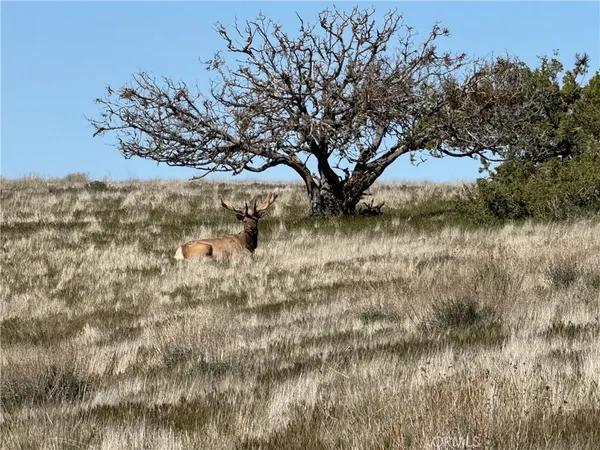 a view of an ocean and a mountain