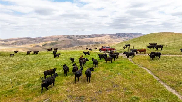 a view of a town with mountains in the background