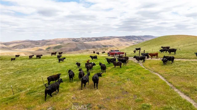 $8,311,875 | 8050 Bitterwater Road, Shandon, CA 93461