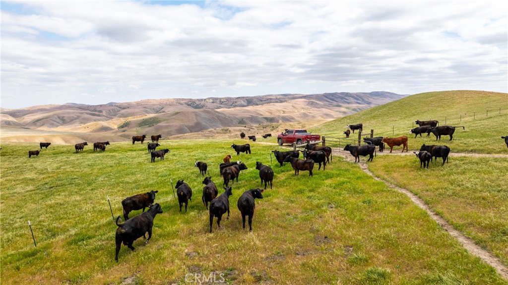 8050 Bitterwater Road Shandon, CA 93461 - Photo 5 of 38
