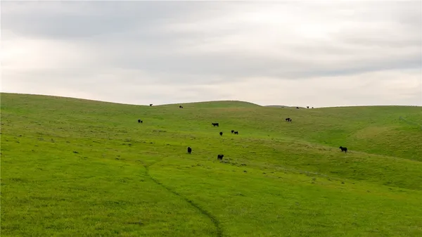 a view of a large building