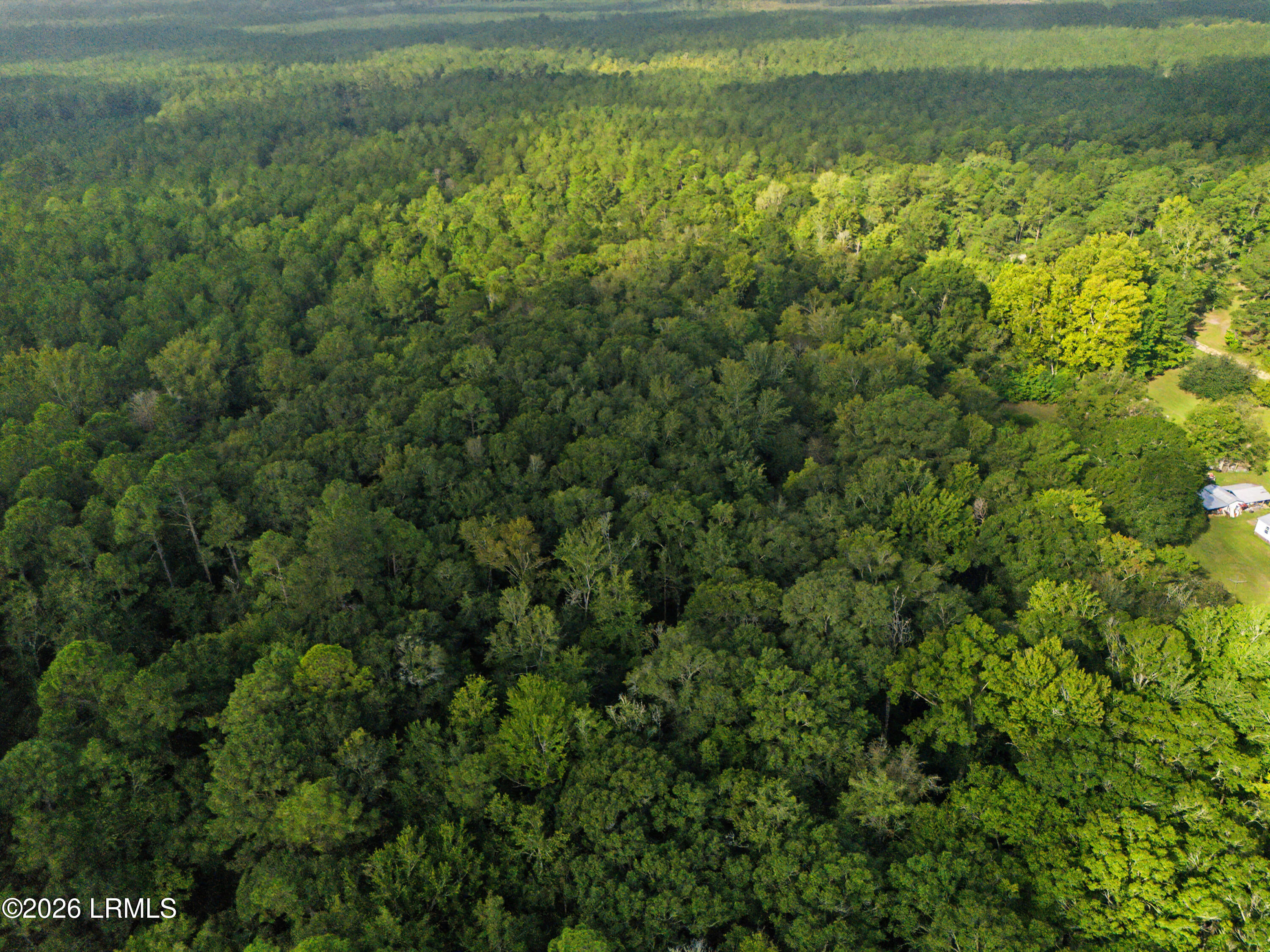 0 Tree Farm Road Walterboro, SC 29488 - Photo 7 of 30 DJI_20260921215900_0308_D