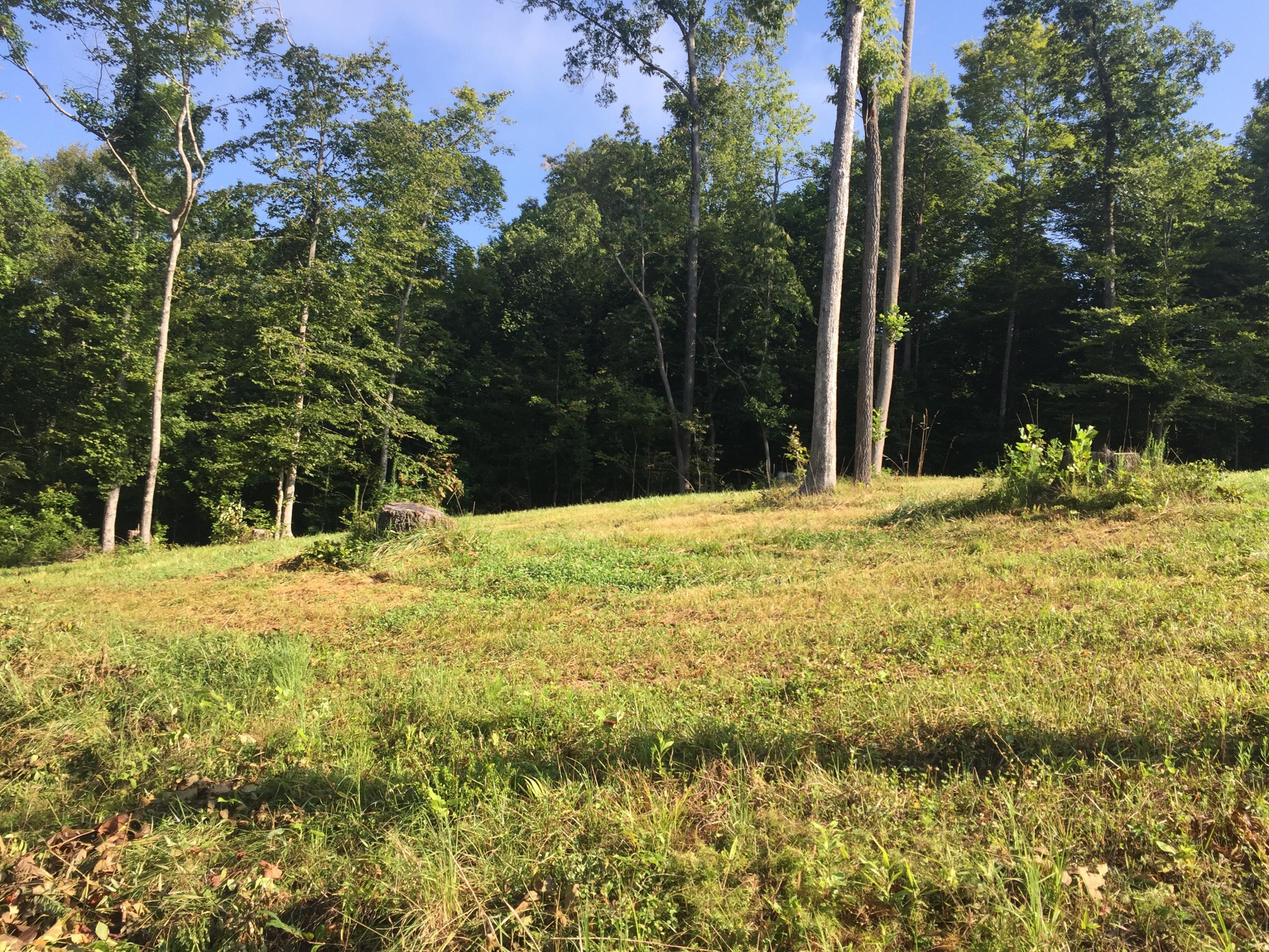 1539 West Farm Road Nancy, KY 42544 - Photo 6 of 8 3E796B37-5C26-4BC4-9E5B-694543A91CE9<|><