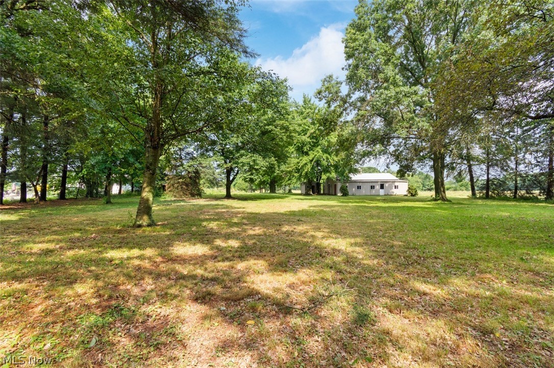 Acme Road Rittman, OH 44270 - Photo 41 of 45 View of yard