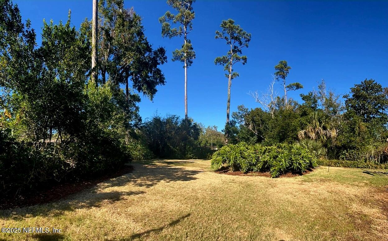 1561 Cornell Road Jacksonville, FL 32207 - Photo 31 of 39 Back Yard
