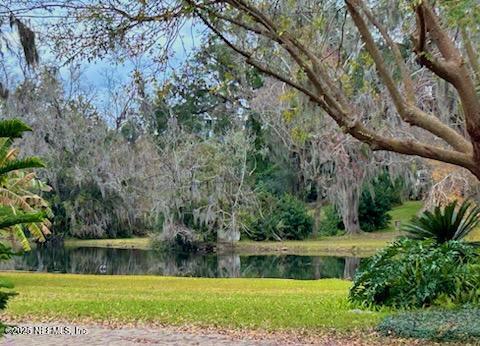 1561 Cornell Road Jacksonville, FL 32207 - Photo 33 of 39 Side waterview