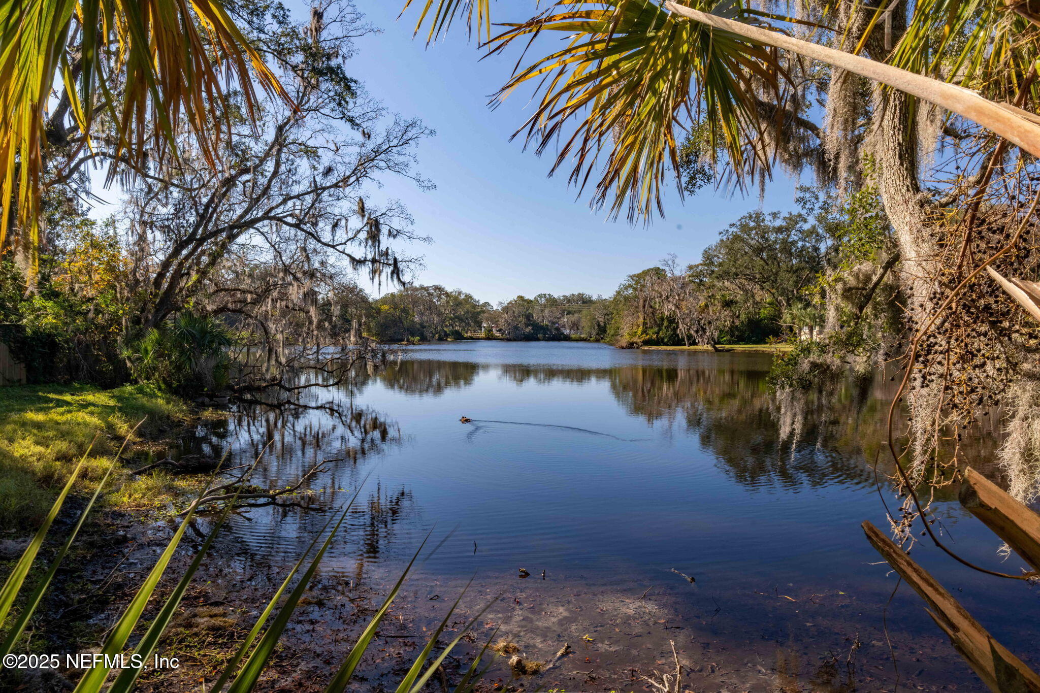 1561 Cornell Road Jacksonville, FL 32207 - Photo 36 of 39 ISO Photo 1561 Cornell Rd Jacksonville F