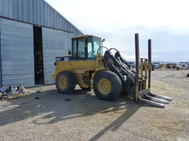 a view of a dry yard