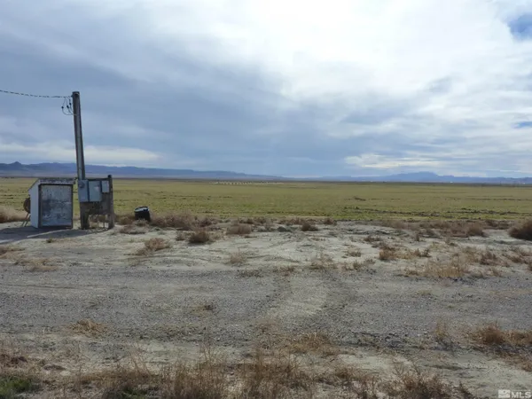 a view of a city from a yard