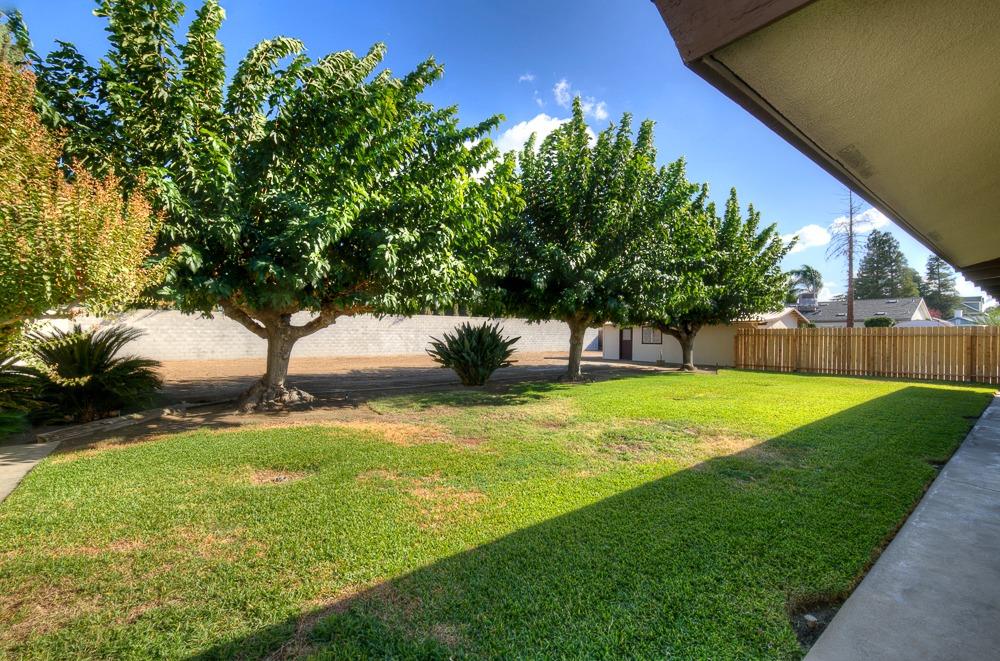 351 North Peach Avenue Clovis, CA 93612 - Photo 28 of 34 a view of yard with tree and green space