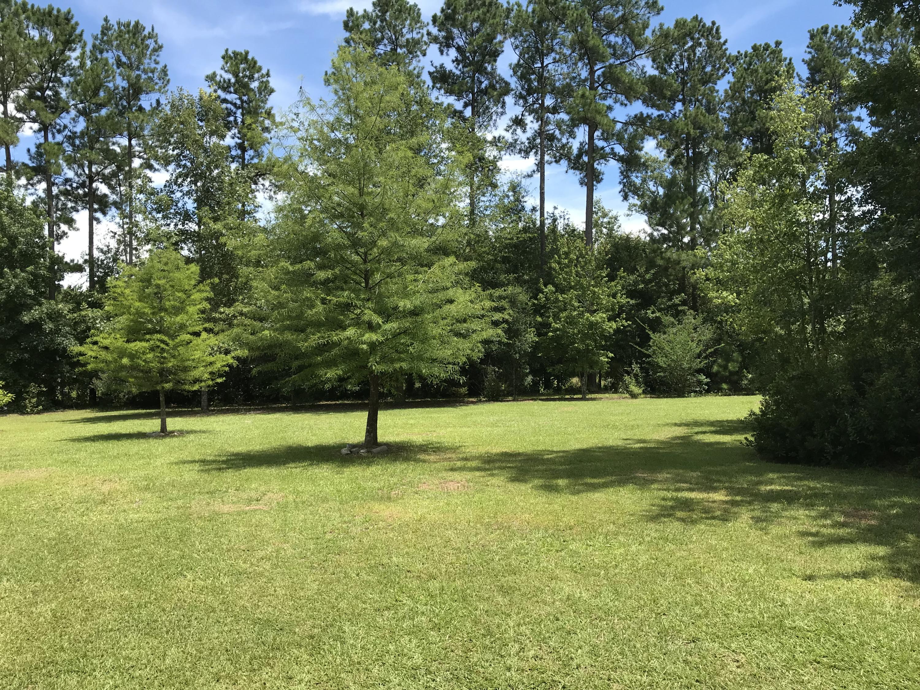 500 Geechie Club Road Cottageville, SC 29435 - Photo 13 of 18 040BD290-94C7-4F5A-93D7-0E8AD017E84E