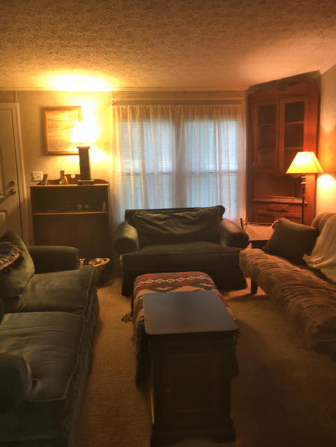 500 Geechie Club Road Cottageville, SC 29435 - Photo 8 of 18 geechie living room