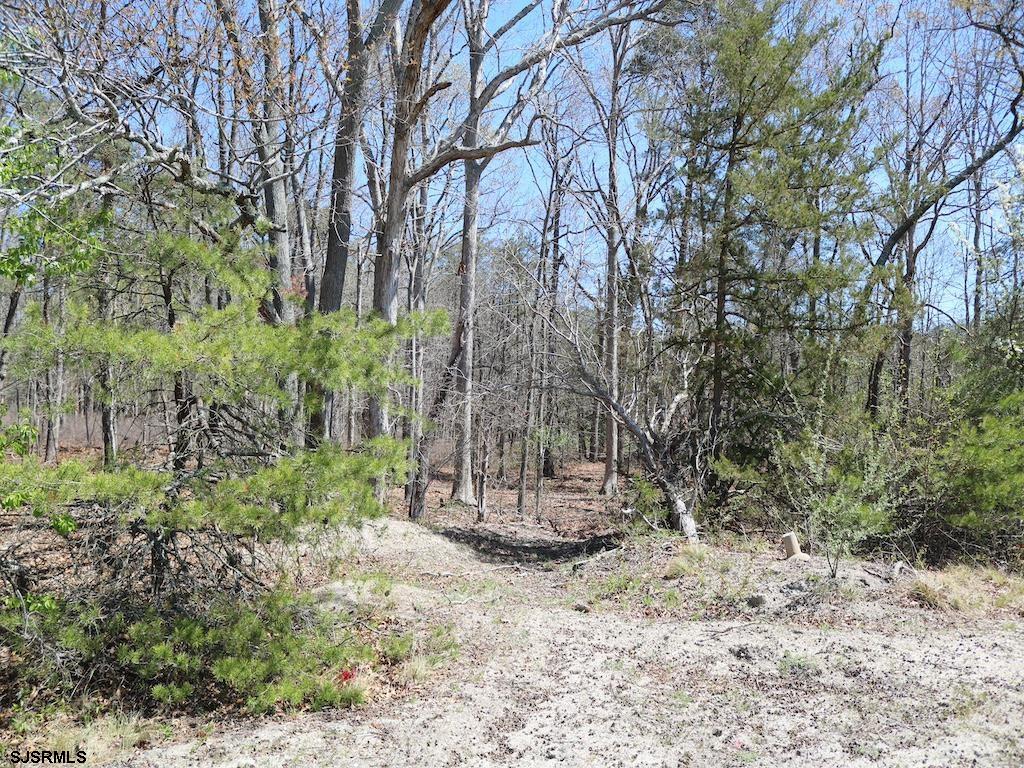 351 Shaws Mill Road Newport, NJ 08345 - Photo 77 of 84