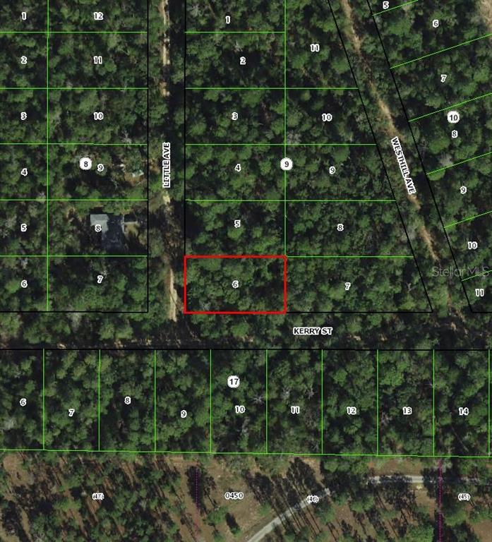306 Little Avenue Inverness, FL 34452 - Photo 2 of 3
