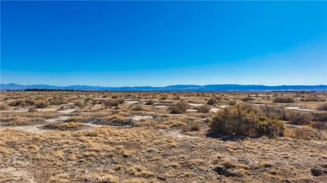 a view of a field with an ocean