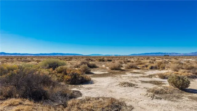 a view of beach and ocean