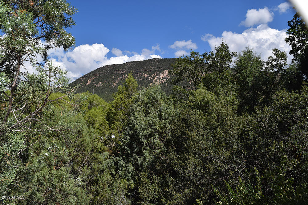 979 Beaver Flat Road Payson, AZ 85541 - Photo 46 of 70 View from front deck