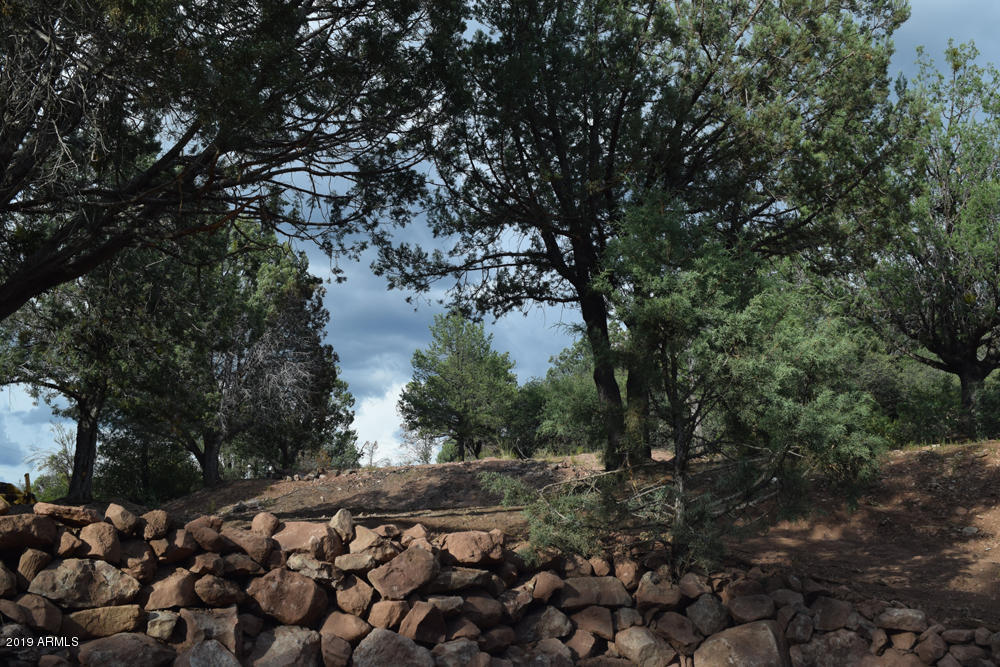 979 Beaver Flat Road Payson, AZ 85541 - Photo 55 of 70 Front yard