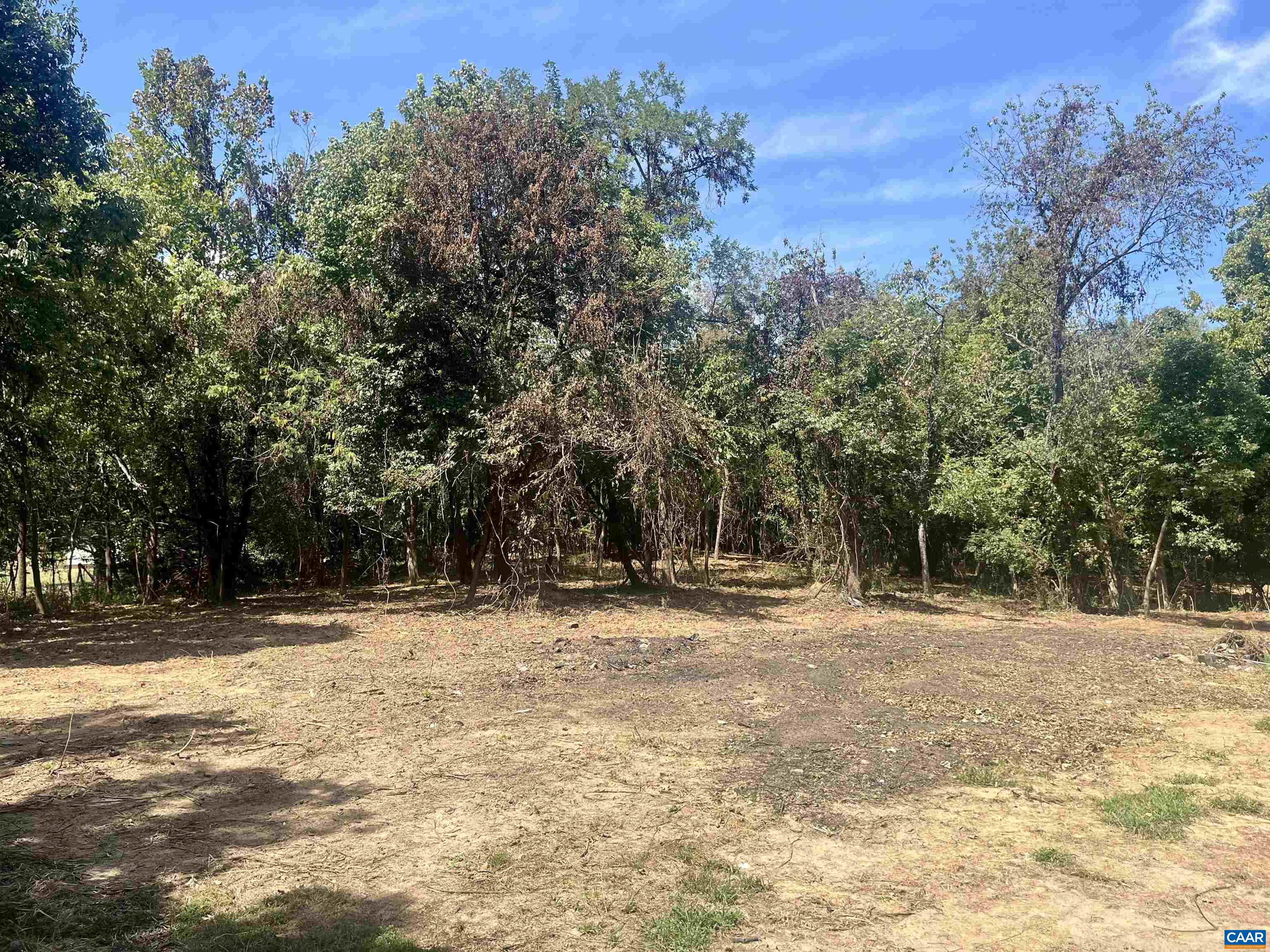 1630 Buck Road Crozet, VA 22932 - Photo 11 of 30 a view of a yard with trees