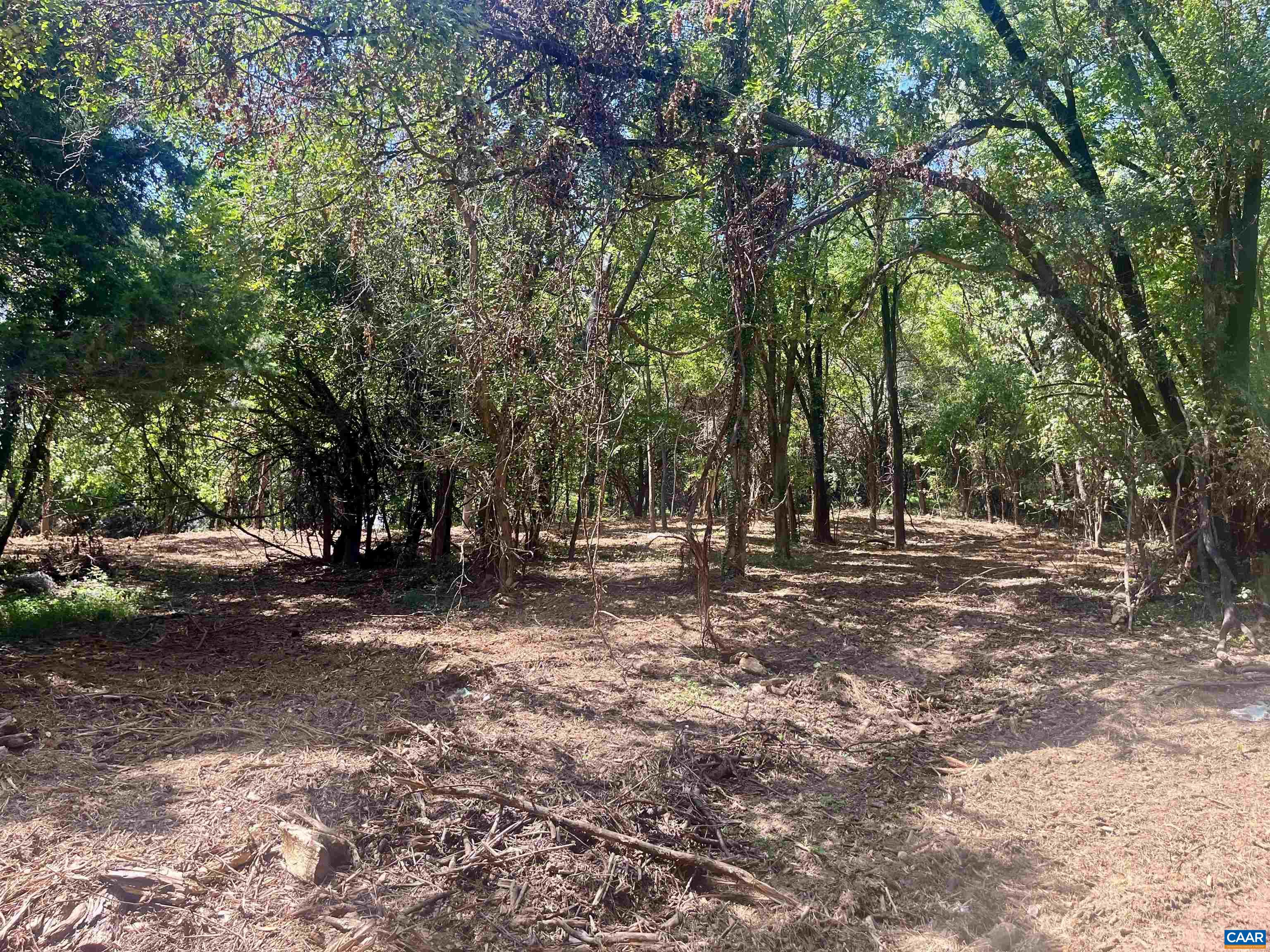 1630 Buck Road Crozet, VA 22932 - Photo 16 of 30 a view of a tree in the middle of a yard