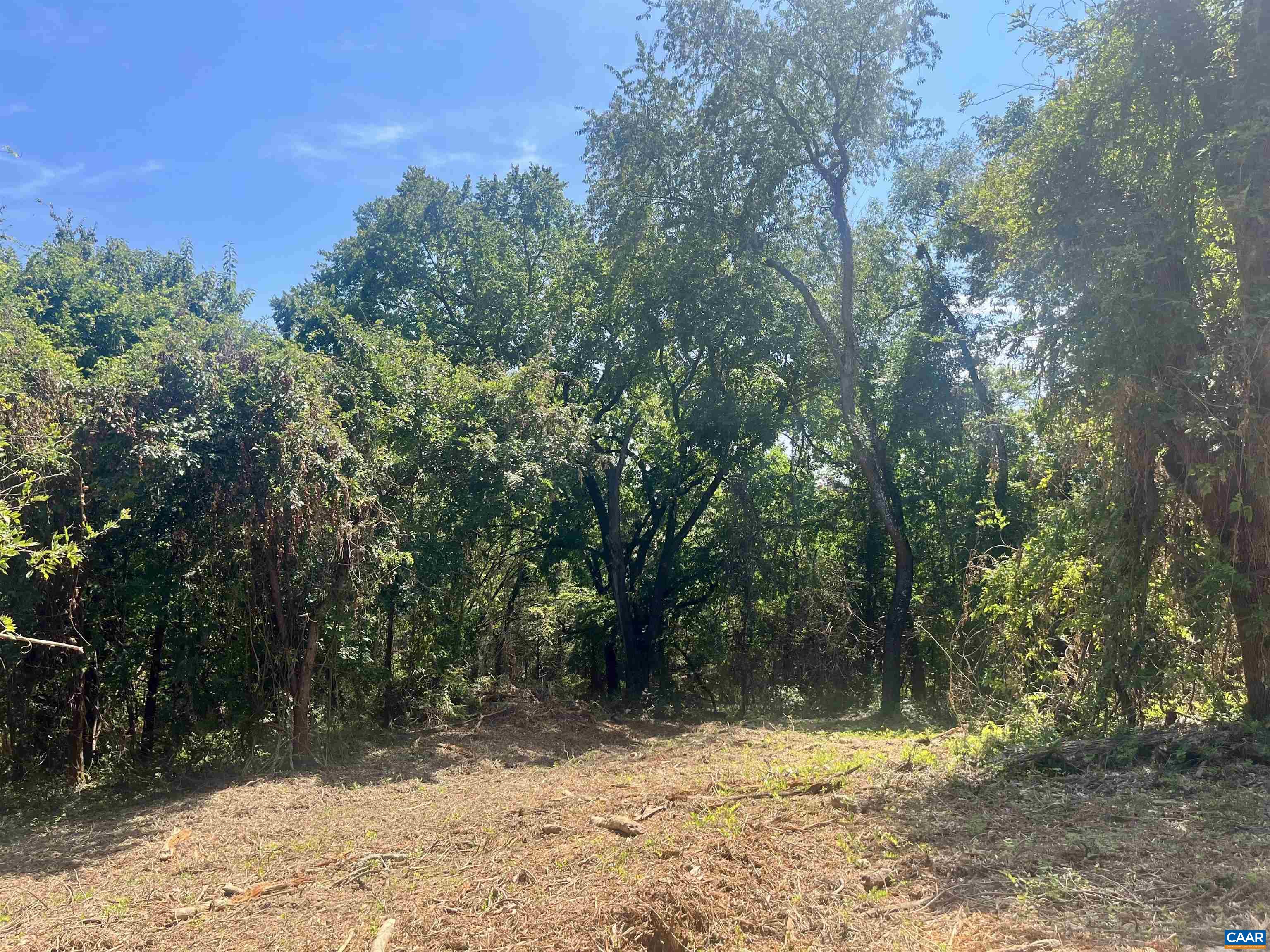 1630 Buck Road Crozet, VA 22932 - Photo 21 of 30 a view of a yard with a tree